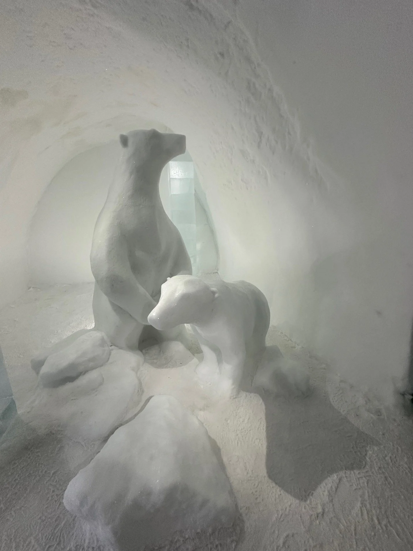 トンボ en 氷室 氷雪 Winter Fun at the Ice Hotel in Arctic Sweden By Photographer